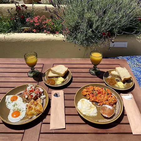 Michelangelo Villa Ía